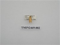 藏品(梯紋豔苔蛾)的圖片